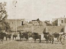 El molino de Camou sin fleje