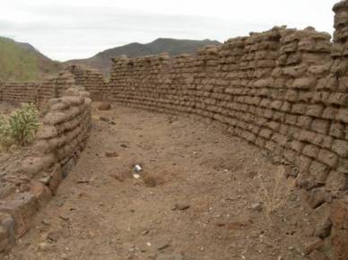 Documentan destierro de yaquis en Yucatán
