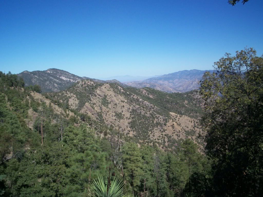 EL RINCÓN DE GUADALUPE